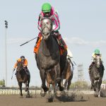 Luster – Woodbine Oaks – -Woodbine/ Michael Burns Photo