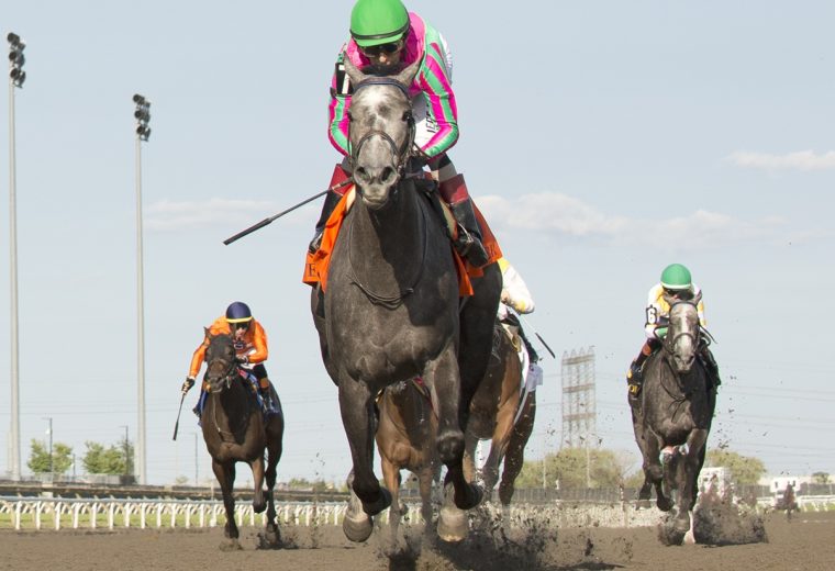 Luster – Woodbine Oaks – -Woodbine/ Michael Burns Photo