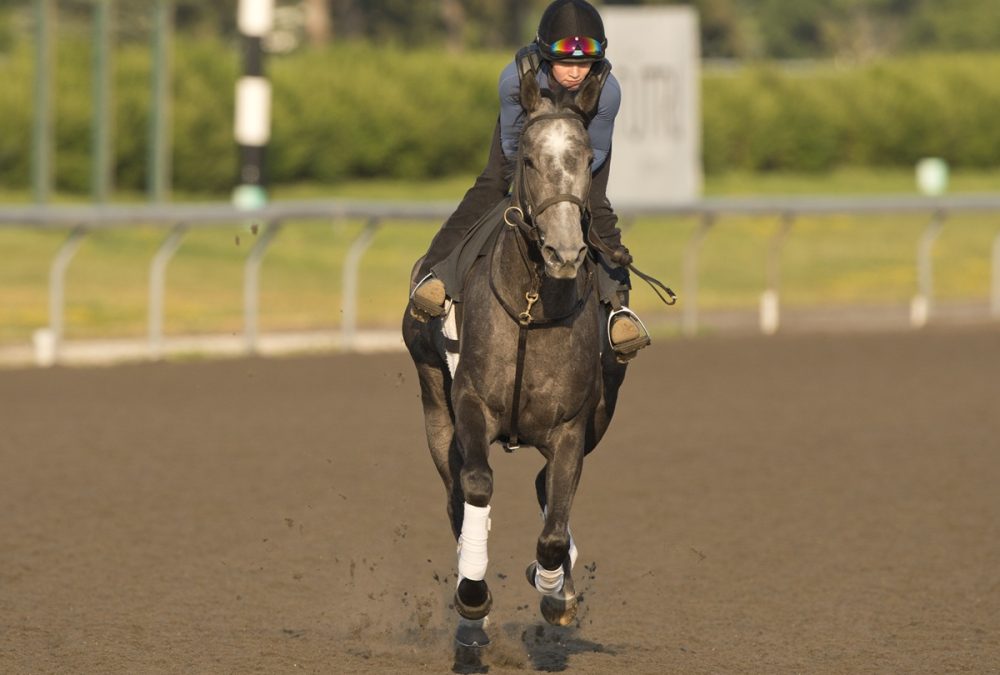 Luster - Woodbine - Michael Burns Photo