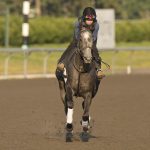 Luster - Woodbine - Michael Burns Photo