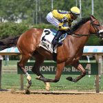 Flight Command – Coglianese Photo – New York