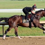 Golden Tempo - photo courtesy of Keeneland Racing