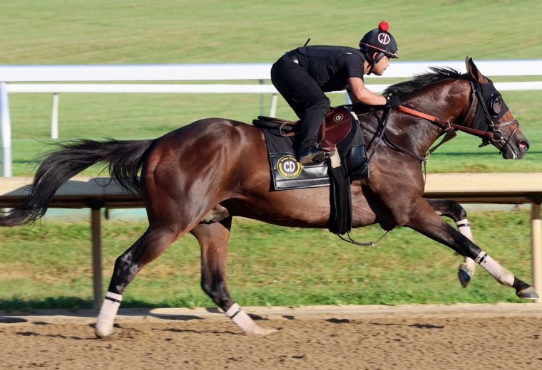 Golden Tempo - photo courtesy of Keeneland Racing