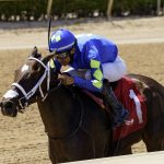 Hot Rod Honey – Sharp Susan Stakes – Gulfstream Park – credit Coglianese Photo