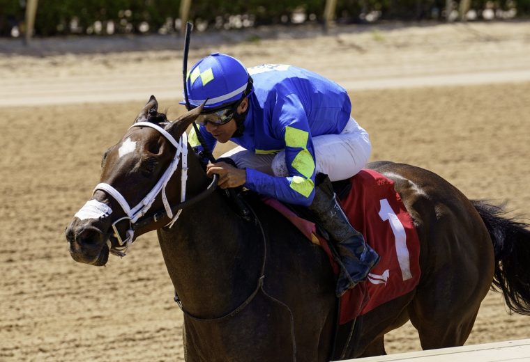 Hot Rod Honey – Sharp Susan Stakes – Gulfstream Park – credit Coglianese Photo