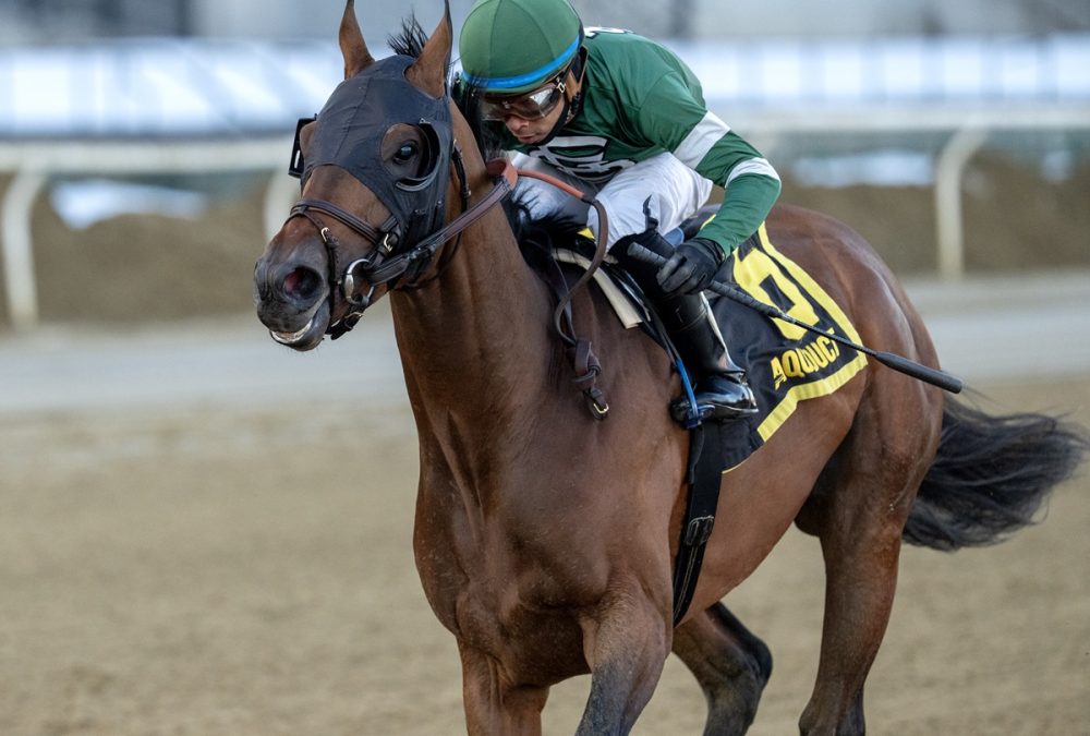 Iron Honor - credit Joe Labozzetta - Coglianese Photo