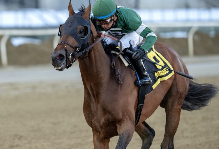 Iron Honor - credit Joe Labozzetta - Coglianese Photo