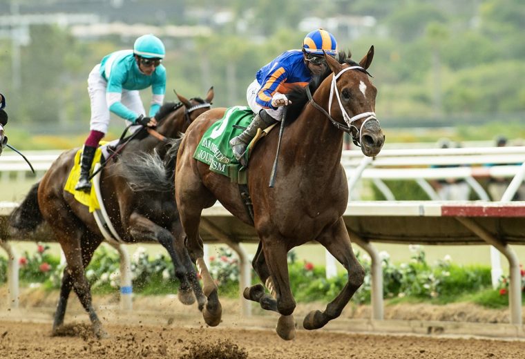 Journalism – San Diego Handicap G2 – Del Mar – Benoit Photo