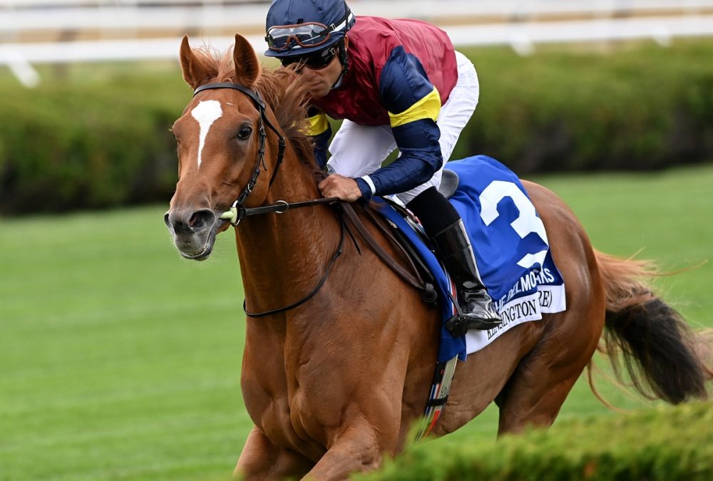 Kensington Lane - the Belmont Oaks - credit Angelo Lieto - Coglianese Photo