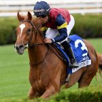 Kensington Lane - the Belmont Oaks - credit Angelo Lieto - Coglianese Photo