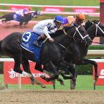 Local Knowledge - the Amsterdam G2 - credit Janet Napolitano - Coglianese Photo