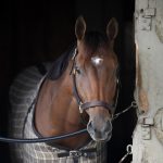 Renegade - credit Chris Rahayel - Coglianese Photo
