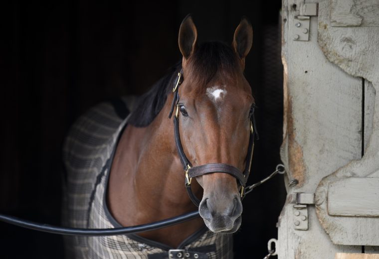 Renegade - credit Chris Rahayel - Coglianese Photo