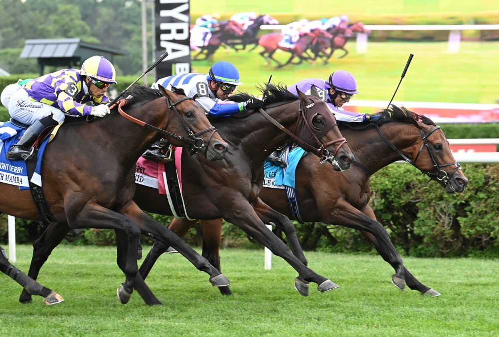 Title Role - the Belmont Derby G1 - credit Susie Raisher - Coglianese Photo
