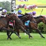 Title Role - the Belmont Derby G1 - credit Susie Raisher - Coglianese Photo
