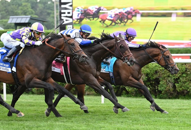 Title Role - the Belmont Derby G1 - credit Susie Raisher - Coglianese Photo