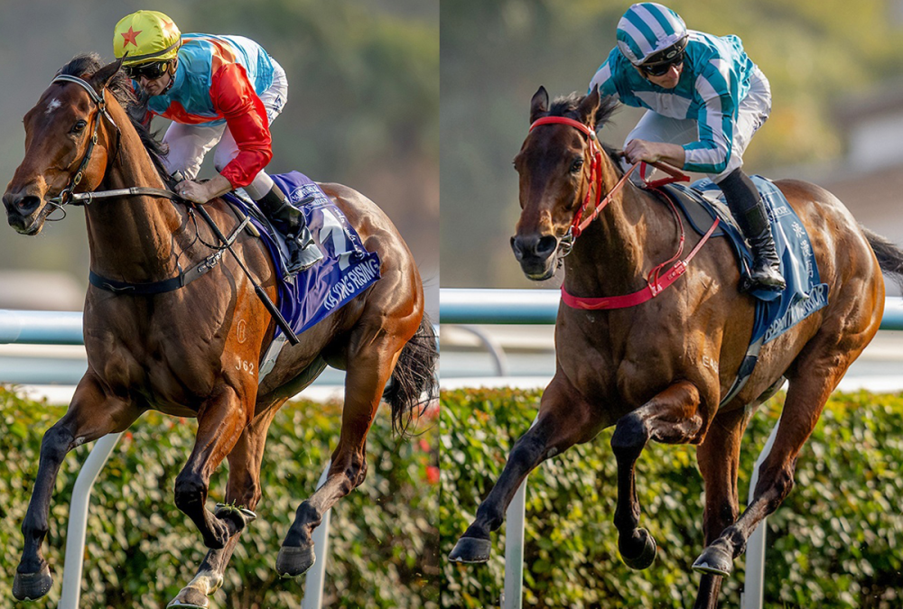 Ka Ying Rising y Romantic Warrior – Hong Kong Jockey Club