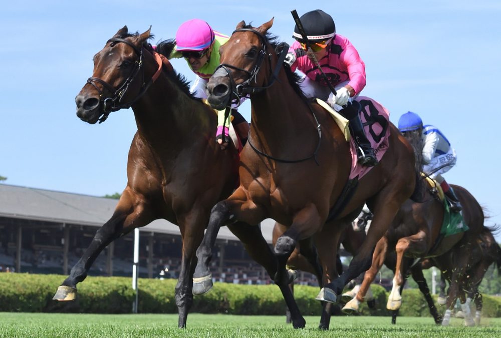 Zulu Kingdom (parte externa) y Mi Bago – Saratoga – Coglianese Photo