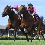 Zulu Kingdom (parte externa) y Mi Bago – Saratoga – Coglianese Photo