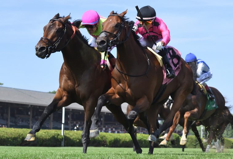 Zulu Kingdom (parte externa) y Mi Bago – Saratoga – Coglianese Photo