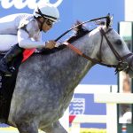 Ag Bullet - Coady Media
