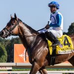 Book'em Danno - Forego - Walter Wlodarczyk-Coglianese Photo