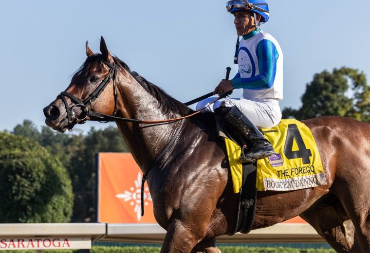 Book'em Danno - Forego - Walter Wlodarczyk-Coglianese Photo