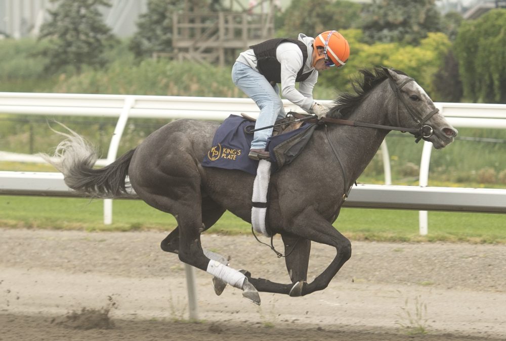 Luster - Woodbine/ Michael Burns Photo