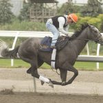 Luster - Woodbine/ Michael Burns Photo