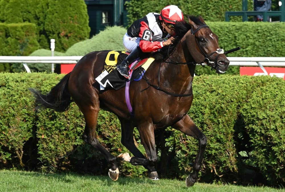 Glacius - the Saratoga Derby G1 - credit Chris Rahayel - Coglianese Photo