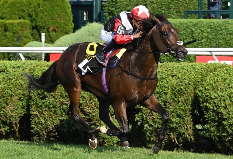 Glacius - the Saratoga Derby G1 - credit Chris Rahayel - Coglianese Photo