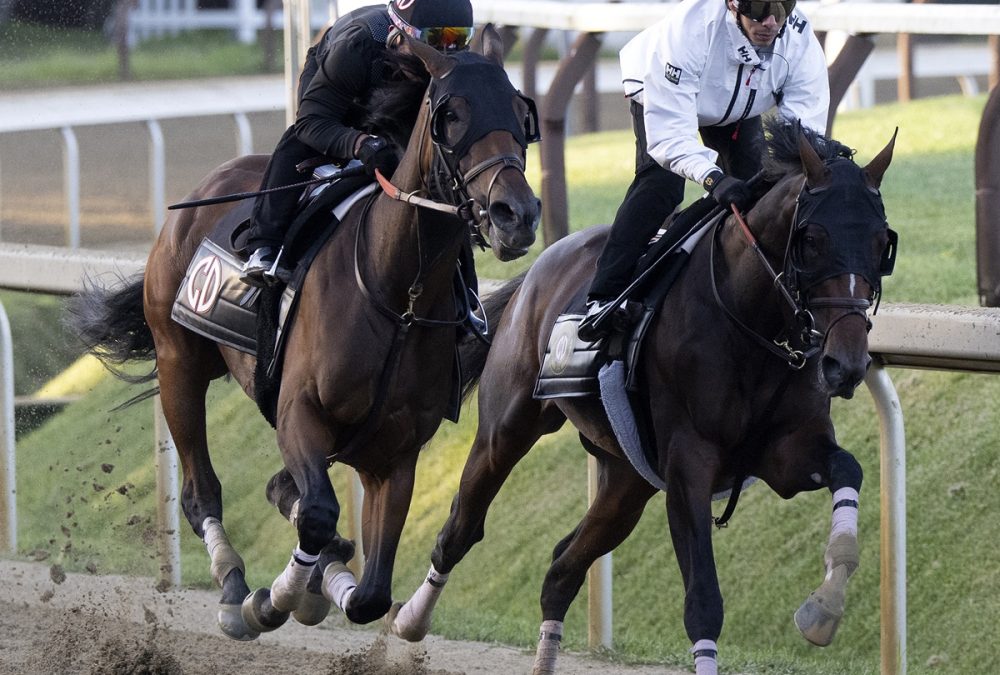 Golden Tempo (parte interna) - Susie Raisher / Coglianese Photo