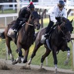 Golden Tempo (parte interna) - Susie Raisher / Coglianese Photo
