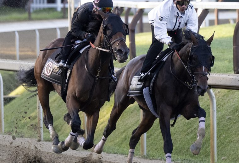 Golden Tempo (parte interna) - Susie Raisher / Coglianese Photo