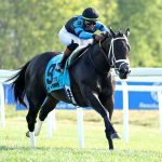 In Our Time – Kentucky Downs Ladies Turf Sprint G1 $1.75M – Coady Media