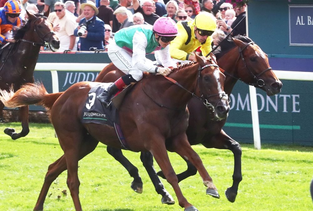 Item – Juddmonte International Stakes Group 1 – York Racecourse – Coady Media – Renee Torbit