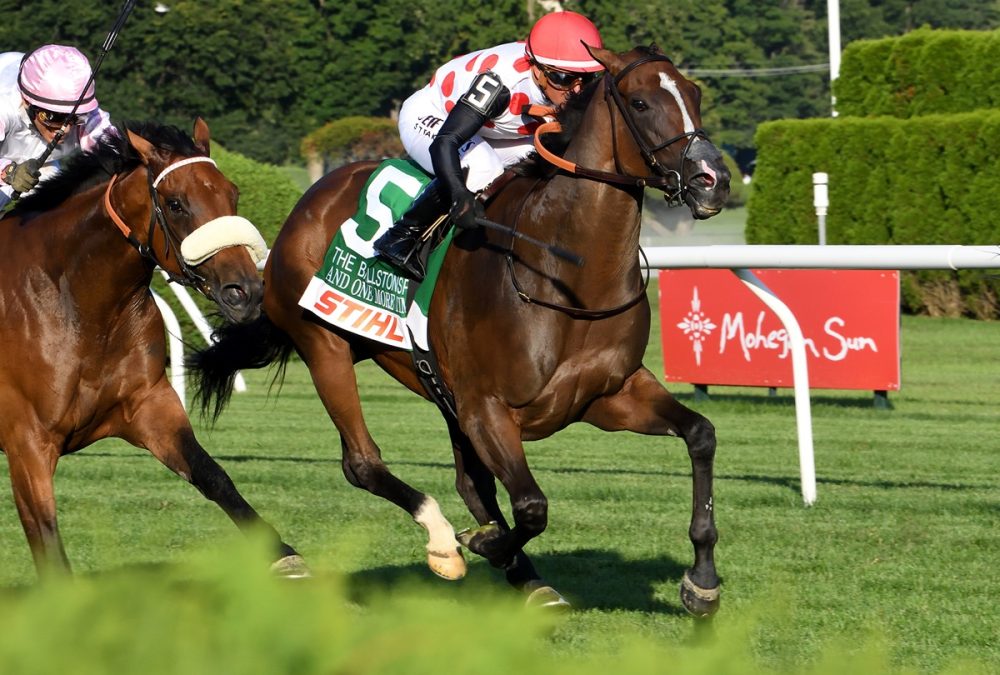Javier Castellano - And OneMore Time - the Ballston Spa - credit Janet Napolitano -Coglianese Photo