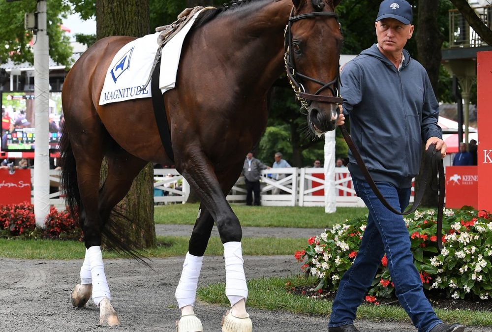 Magnitude - Susie Raisher Scott Blasi - Coglianese Photo
