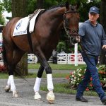 Magnitude - Susie Raisher Scott Blasi - Coglianese Photo