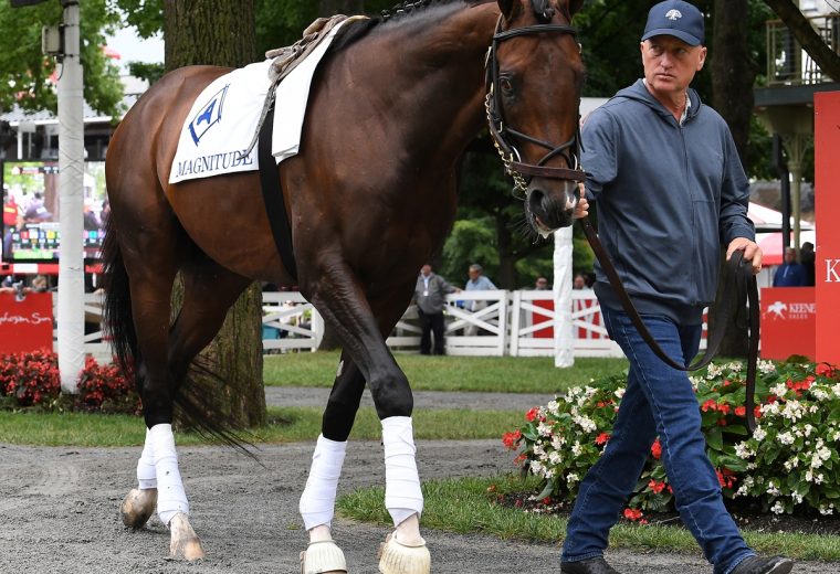 Magnitude - Susie Raisher Scott Blasi - Coglianese Photo