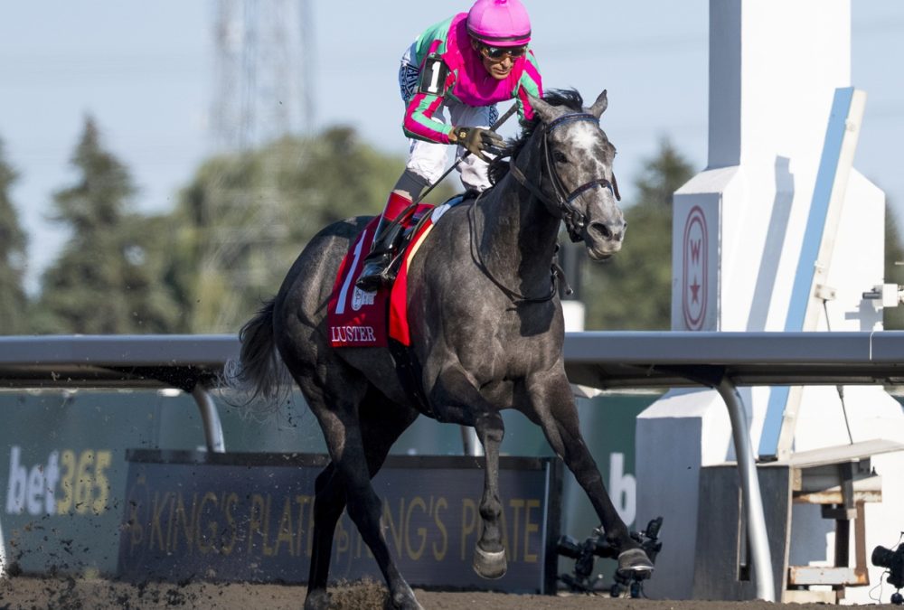 Luster – King’s Plate Stakes – Woodbine – Michael Burns Photo