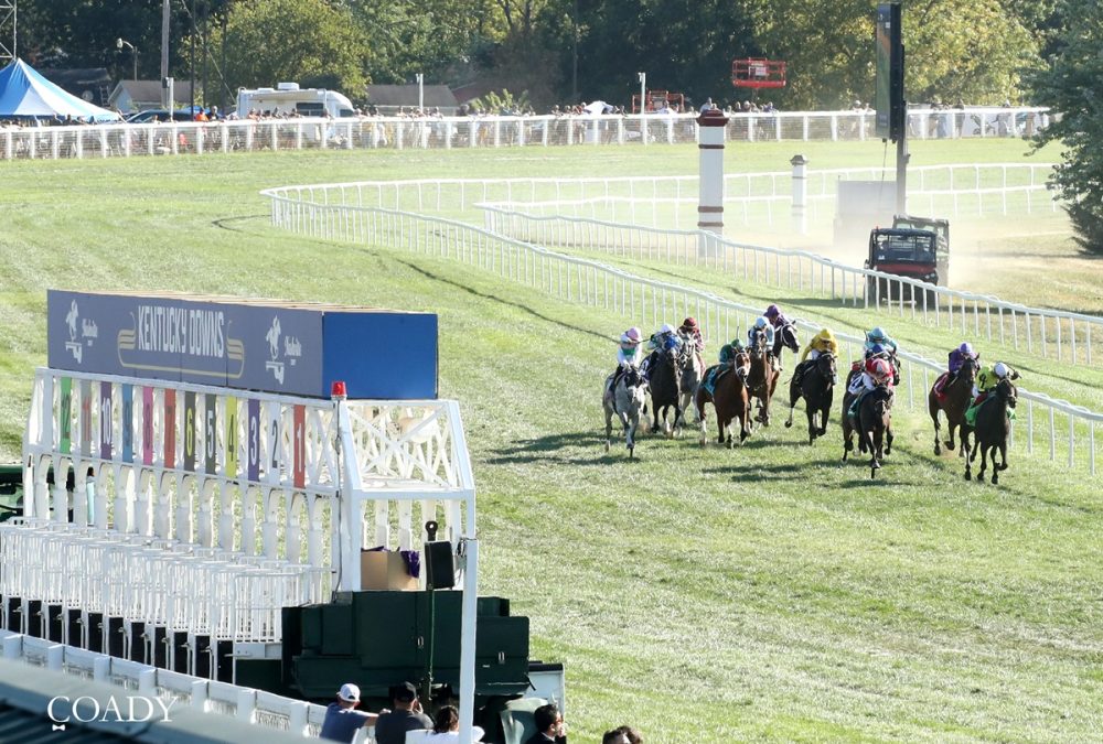 Kentucky Downs - Coady Media
