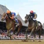 Renegade – Jim Dandy G2 - Coglianese Photo