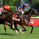 Survie (Ire) – Christophe Clement Turf Stakes G1 – Saratoga