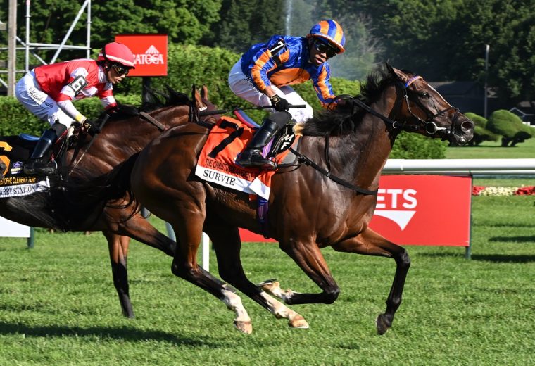 Survie (Ire) – Christophe Clement Turf Stakes G1 – Saratoga