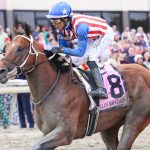 Stradale - Gallant Bob Stakes G2 at Parx Racing. Photo by Nikki Sherman/EQUI-PHOTO.