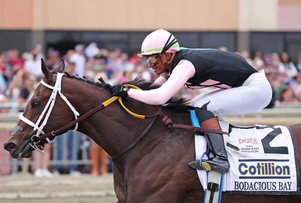 Bodacious Bay - Cotillion Stakes G1 $1M at Parx Racing. Photo by Ryan Denver/EQUI-PHOTO.