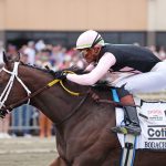 Bodacious Bay - Cotillion Stakes G1 $1M at Parx Racing. Photo by Ryan Denver/EQUI-PHOTO.