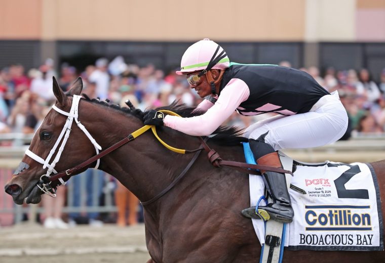 Bodacious Bay - Cotillion Stakes G1 $1M at Parx Racing. Photo by Ryan Denver/EQUI-PHOTO.