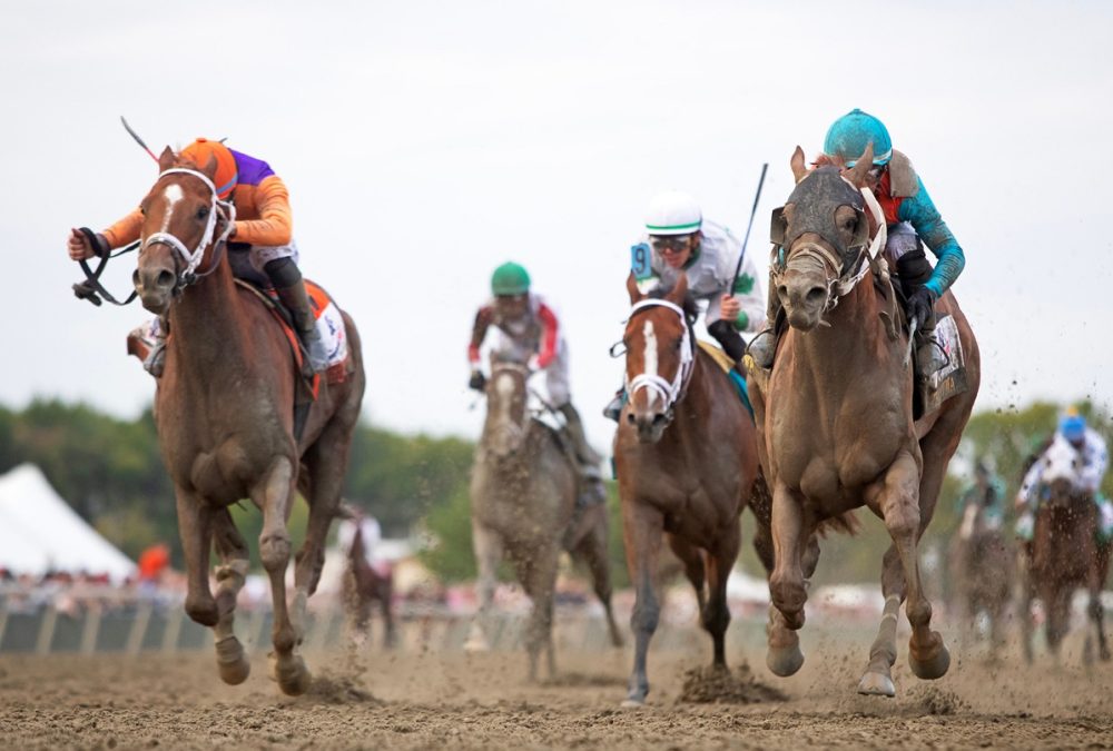 The Puma - Pennsylvania Derby G1 $1M at Parx Racing in Bensalem. Photo by Ryan Denver/EQUI-PHOTO.
